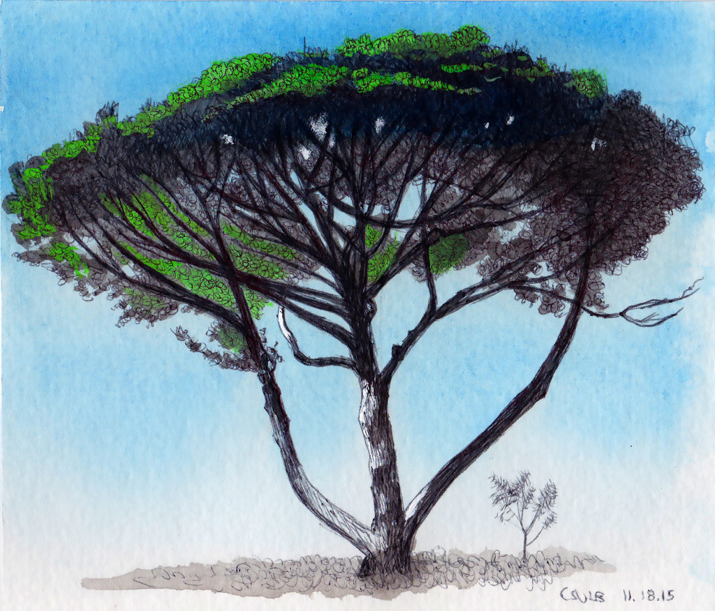 CSULB Tree 11.18.15 2015 Ink and gouache on paper 5x6 inches