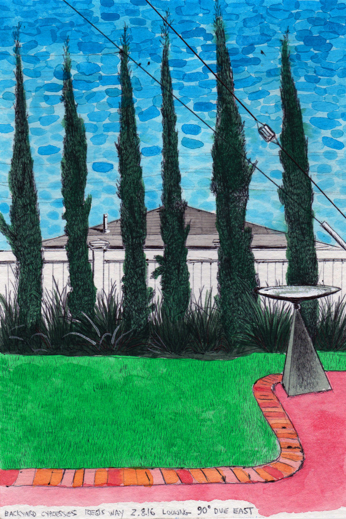 Backyard Cypresses, Regis Way 2.8.16 Looking 90 Degrees Due East 2016 Ink and Gouache on paper 8x5.5 inches