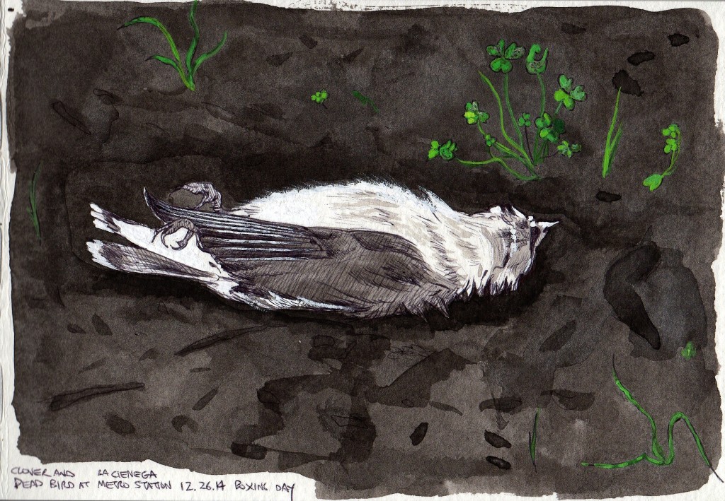 Dead Bird 2015 ink and gouache on paper 5x8 inches