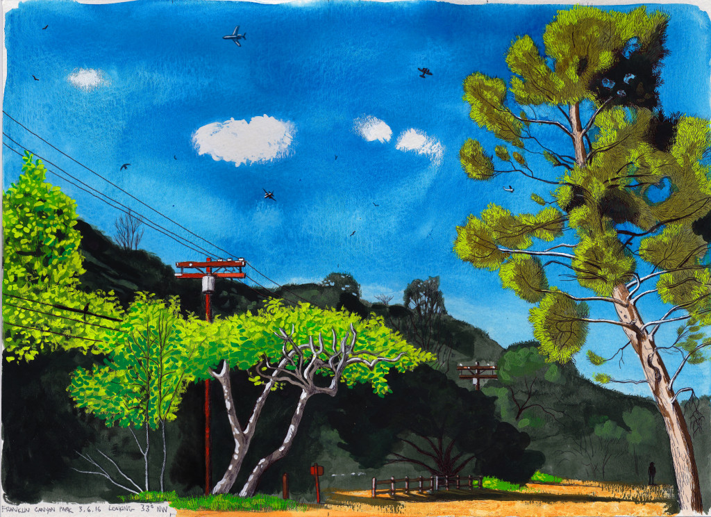 Franklin Canyon Park 3.6.16 Looking 33 Degrees NW 2016 Ink and gouache on paper 10x13.5 inches