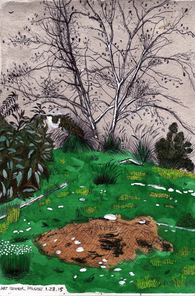 Hillside 2014 ink and gouache on paper 8x5 inches
