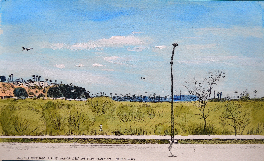 Ballona Wetlands, June 28, 2015 2015 Graphite and gouache on paper 8x13.5 inches